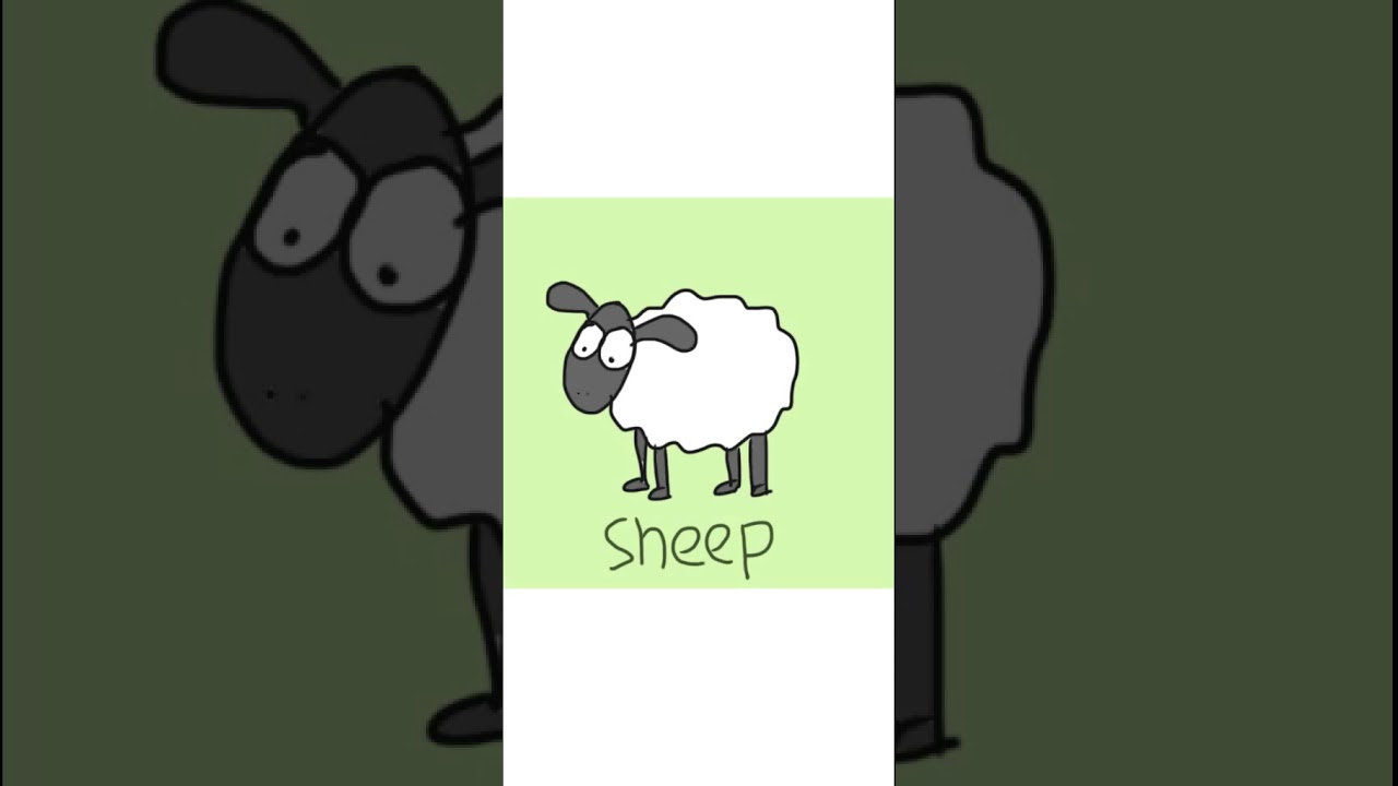 Sheep Youtube