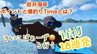 【爆釣行】岩井海岸で神回レベルの爆釣物語。奇跡の1匹終盤に現る。(2021.8)