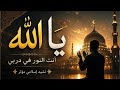 Noor Allah 🤍 | Beautiful Arabic Nasheed 2026 | Zayan Al Noor | Islamic Song