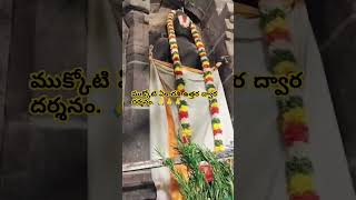 ముక్కోటి ఏకాదశి ఉత్తర ద్వార దర్శనం శ్రీ రంగం లోని శ్రీ రంగనాధుడు 🙏🙏🙏