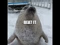 beat it seal