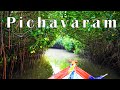 Pichavaram - Amazon forest of INDIA - World's 2nd Largest Mangrove Forest. Complete Guide!