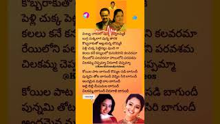 SP Balu Garu Chitra Gari Superhit Songlyrics