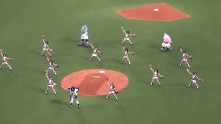 チアドラゴンズ2016　オープニングダンス　Venus