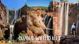 Day Trip to Ouzoud Waterfalls from Marrakech - Morocco