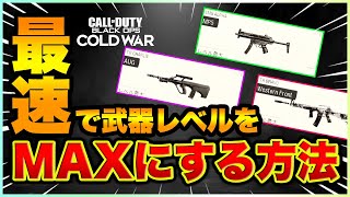 【COD:BOCW】後悔する前に見ろ!!武器レベルを最速でMAXにする方法!!【ラビハン実況】