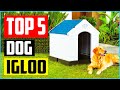 Top 5 Best Dog Igloo of 2021 Review