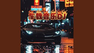 后来遇见他 (dj车载版)