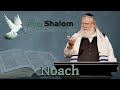 Noach: Rest | Erev Shabbat 2024