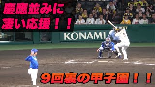 【高校野球みたいに熱い9回裏の阪神の応援が凄かった！！】阪神対横浜