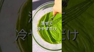 濃厚抹茶テリーヌショコラ