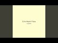 Echo Mystic Pulse