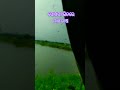 ପୋଖରୀ ଭିତରେ ମାଛ ଚାଷ fish farming pond fishfarmingtraining pondfishing fish fishfarming viral