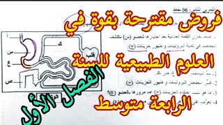 الفرض الاول المقترح بقوة في مادة العلوم الطبيعية للسنة الرابعة متوسط