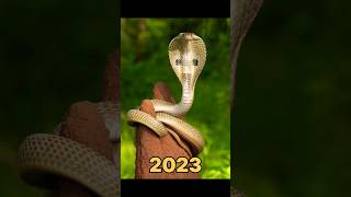 2023 snake vs 5000 bce snake                                     #viral #ytshorts #animals #snakes