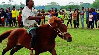 সিলেটের সুনামগঞ্জে চলছে বিভিন্ন জেলার ১৫০টি ঘোড়া নিয়ে বিশাল ঘোড়া দৌড় প্রতিযোগিতা🐎Horse Race🐎MH TV