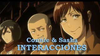 Connie \u0026 Sasha | Interacciones | Attack on Titan