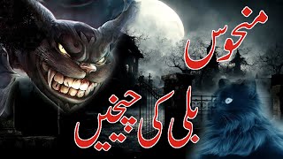 Shaitani Billi || Hindi Horror Story || #cat