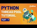 Python Thread Tutorial | Python Thread Pool | Python Thread Pool Executor | Intellipaat