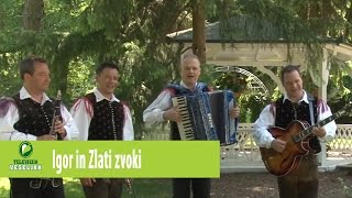 IGOR IN ZLATI ZVOKI - Minili sta že leti dve