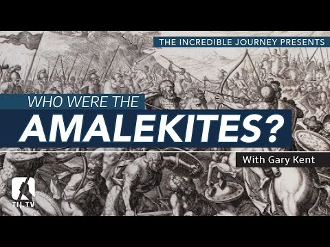 Why did David kill the Amalekite?