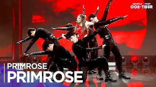 [Simply K-Pop CON-TOUR] PRIMROSE(프림로즈) - 'PRIMROSE' _ Ep.555 | [4K]