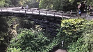 SaruHashi  |  Monkey Bridge | Otsuki | Yamanashi