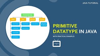 Data Type in Java | Primitive Data Type with Practical Examples | Java Tutorial | TechnonTechTV