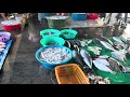 PANDAWAN FISH PORT - Mercedes, Camarines Norte Walking Tour | WALKING TOUR PINAS