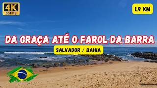 From the VICTORY CORRIDOR to the BARRA LIGHTHOUSE: An AMAZING Tour in SALVADOR, BAHIA