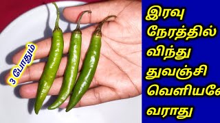 இது தெரிந்த பச்சை மிளகாயை விடவே மாட்டீங்க || Village Tips