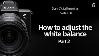 Sony | How To's | How to use adjust the white balance for Sony Alpha cameras | Part 2