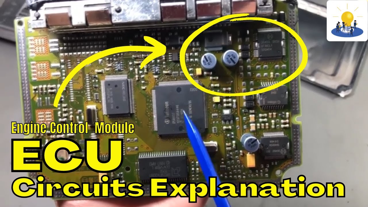 Engine Control Module (ECU) Circuits Working Explanation - YouTube