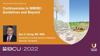 Controversies in Non-muscle Invasive Bladder Cancer (NMIBC): Guidelines and Beyond 2023