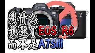 【布瞎BB】为什么我选了佳能EOS R6而不是索尼A7SIII作为主力机，R6一年使用体验报告 R