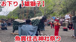 【天草】魚貫住吉神社祭り2024年「獅子舞・玉取り」「太鼓踊り｣「塩振り｣「御神輿｣【あまくさもん】