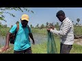 amazing snakehead fishing spot ఈ కర్రె కప్పా చేపలు మస్తు పడుతుంది మామ bros