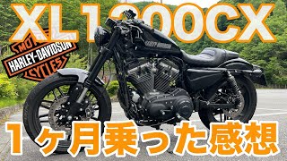 【Motovlog】スポーツスターXL1200CXに１ヶ月乗って思うこと【HARLEY-DAVIDSON XL1200CX】