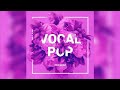 Vocal Pop | Soundpack | Drum Pad Machine