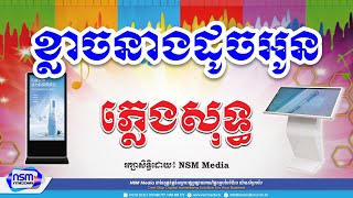 ខ្លាចនាងដូចអូន ភ្លេងសុទ្ធ​​ | ស្រី | Karaoke | Plengsot [ NSM Media ]