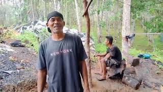 arang kayu Halaban, susun, bongkar, pengemasan ,