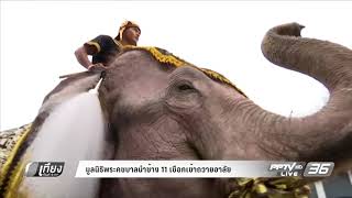 มูลนิธิพระคชบาลนำช้าง ๑๑ เชือกเข้าถวายอาลัย