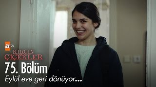 Eylül eve geri dönüyor... - Kırgın Çiçekler 75. Bölüm - atv