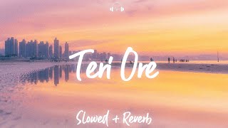 Teri Ore ~  Slowed + Reverb ~ @hrshmusic