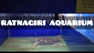 रत्‍नागिरी मत्स्यालय | FISH AQUARIUM IN RATNAGIRI VLOG |