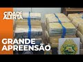 Polícia apreende quase uma tonelada de maconha em área de mata