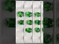 Tsavorites Green Garnet Lot 14pcs