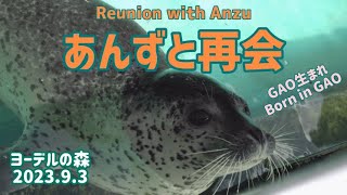 【あんず久しぶり！！】Anzu!!Long time no see!!【元気だった？】