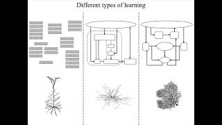 L26 1 SourcesOfInformationForBootstrappingCognition