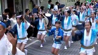 第32回かせい阿波踊り：さざんか連